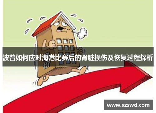 波普如何应对海港比赛后的肾脏损伤及恢复过程探析 波普如何应对海港比赛后的肾脏损伤及恢复过程探析